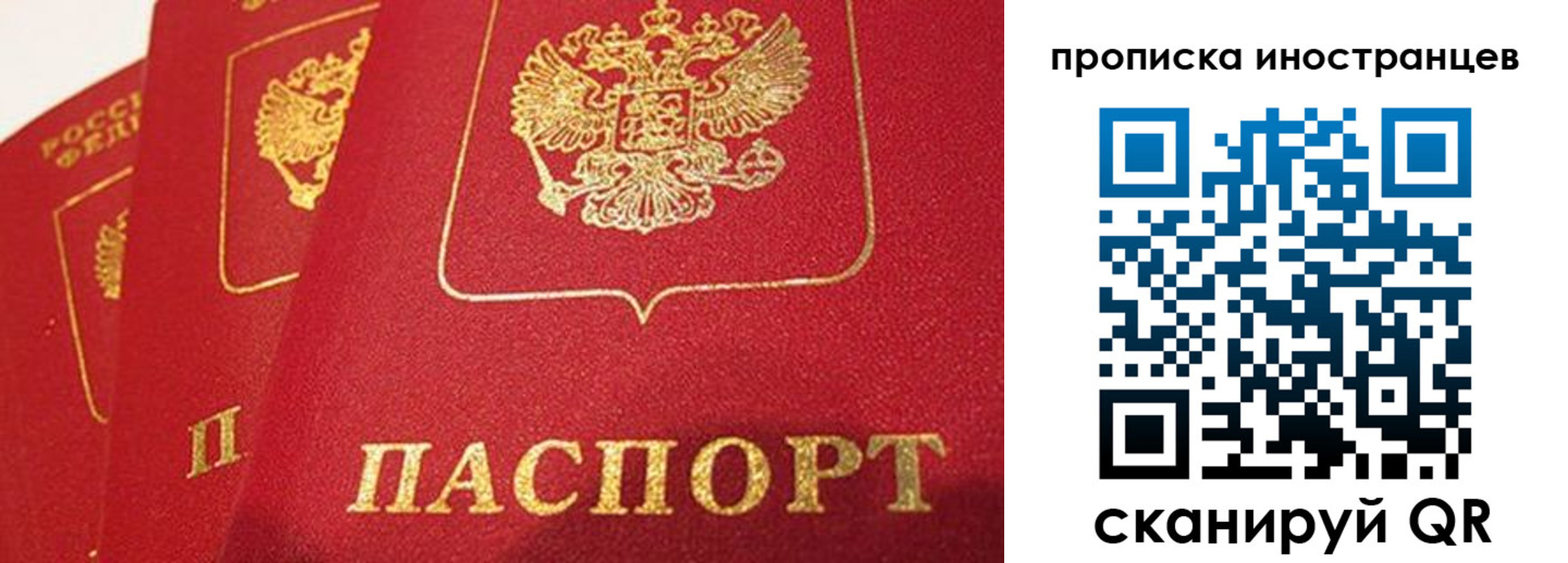 прописка поиск в Краснозаводске